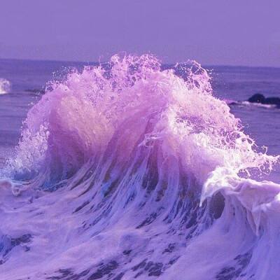 流浪方舟手游官方下载
